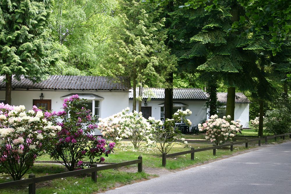 Meeressterne Hotel Forsthaus Damerow Koserow Εξωτερικό φωτογραφία